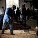 A man prepares stables for the the Washtenaw County 4-H Show on Sunday, July 28. Daniel Brenner I AnnArbor.com